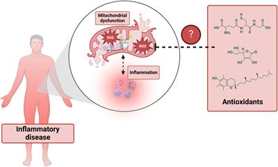 Editorial: Oxidative metabolism in inflammation